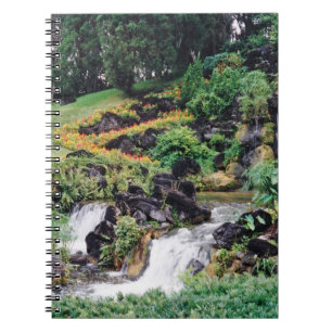 Cuaderno Agua de curación