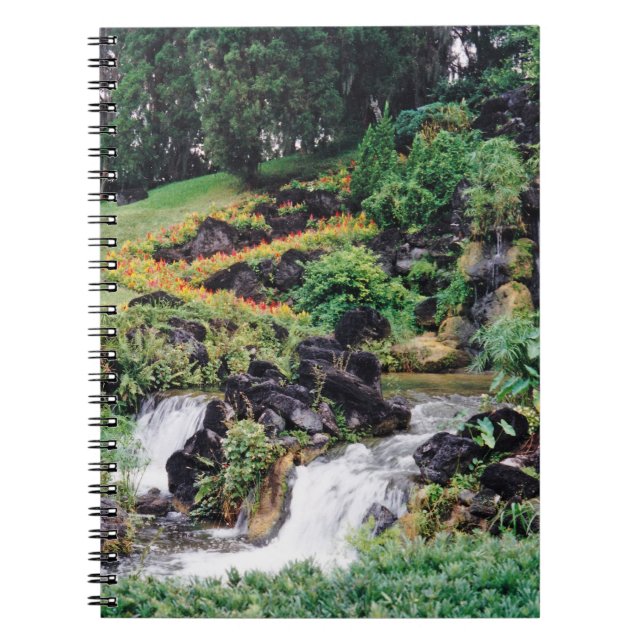 Cuaderno Agua de curación (Frente)