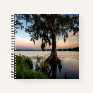 Cuaderno Agua   Kraft Azalea Park Maitland Florida