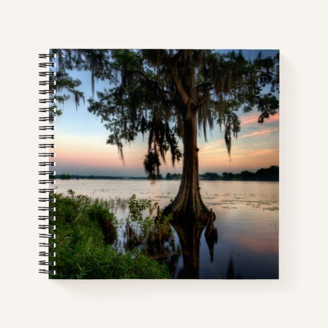 Cuaderno Agua | Kraft Azalea Park Maitland Florida (Anverso)