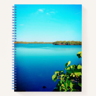 Cuaderno Agua pacífica