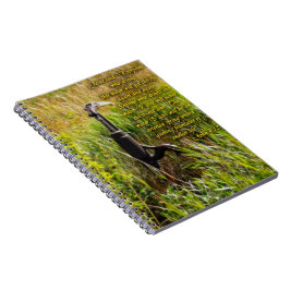 Cuaderno Agua viva John 4 Inspirador