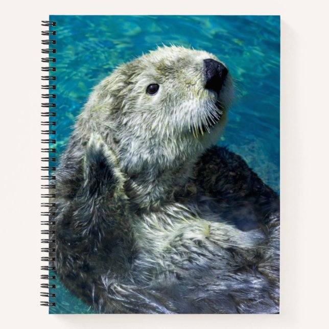 Cuaderno Aguas azules adorables con aletas de mar (Anverso)