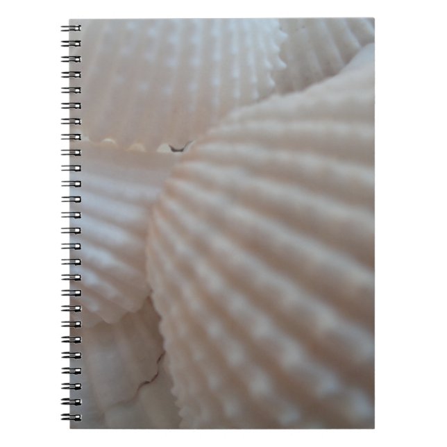 Cuaderno Aguas marinas blancas soleadas, marihuana Shell Be (Frente)