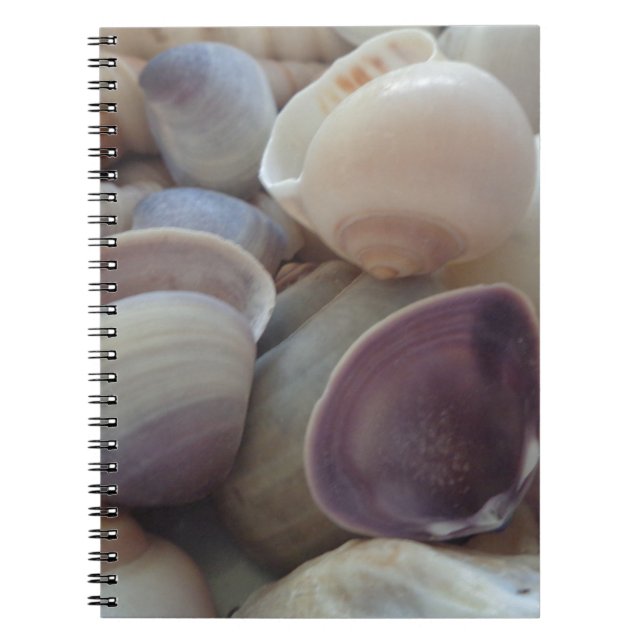 Cuaderno Aguas marinas de verano soleadas, Océano de la con (Frente)