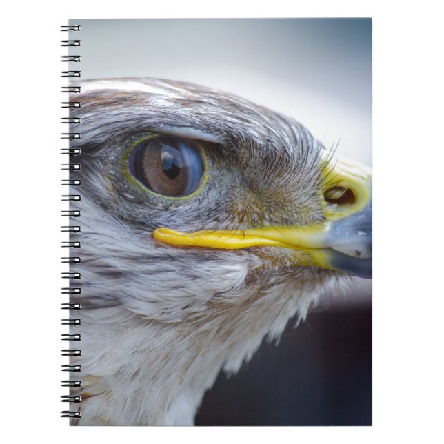 Cuaderno Águila (Frente)
