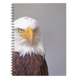 Cuaderno Águila