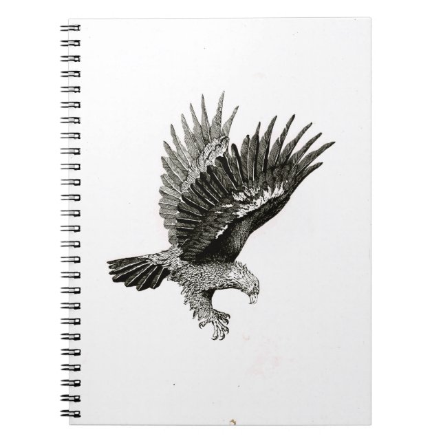 Cuaderno                                  Águila a la Luz (Frente)