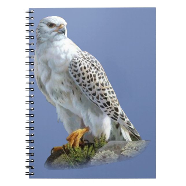 Cuaderno Águila blanca (Frente)