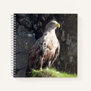 Cuaderno Águila Blanca Poderosa Hábitat del Acantilado Oceá
