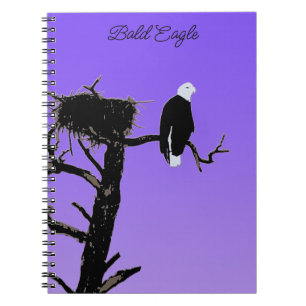 Cuaderno Águila calva al atardecer - Original Arte de Vida 