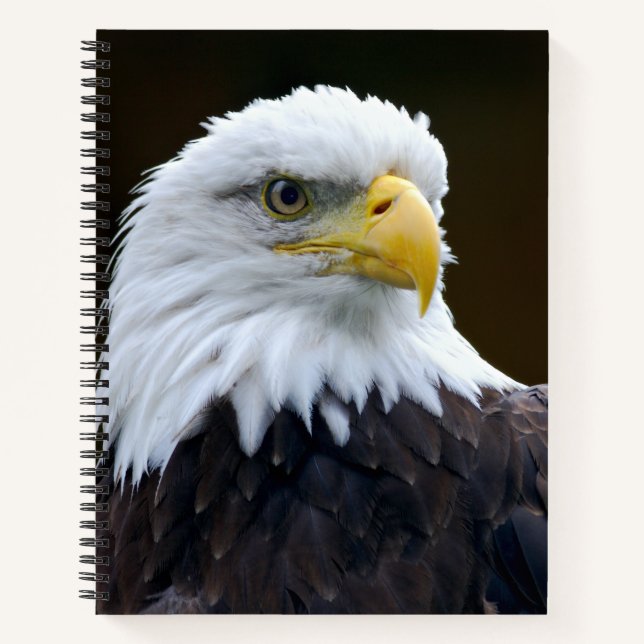 Cuaderno Águila calva americana (Anverso)