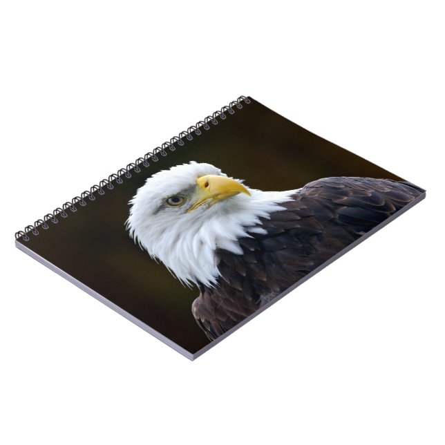 Cuaderno Águila calva americana (Lado Izquierdo)