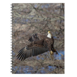 Cuaderno Águila calva con bagre