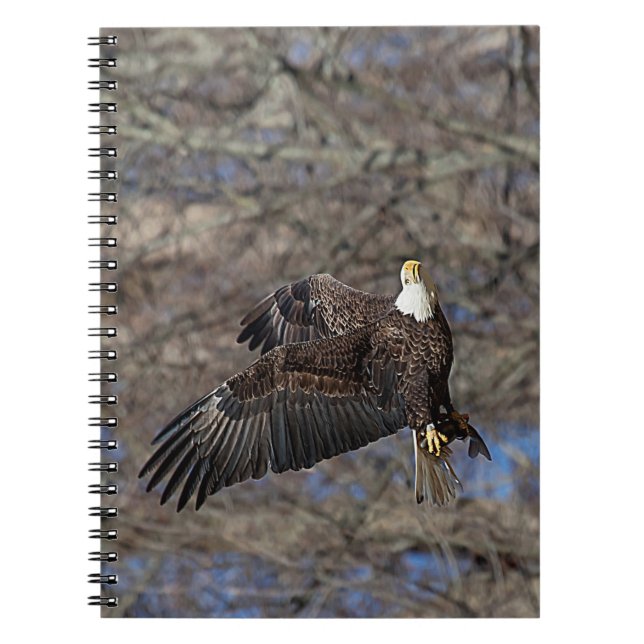 Cuaderno Águila calva con bagre (Frente)