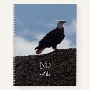 Cuaderno Águila calva en portátil de espiral alta
