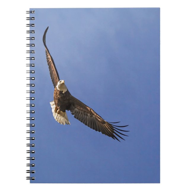 Cuaderno Águila Calva en Vuelo (Frente)