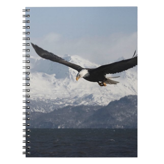 Cuaderno Águila calva en vuelo, Haliaeetus leucocephalus, (Frente)