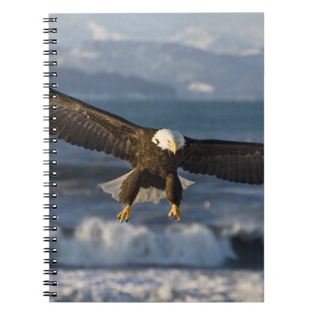Cuaderno Águila calva, Haliaetus leucocephalus, Homer, 3 (Frente)
