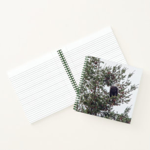 Cuaderno Águila calva P2825