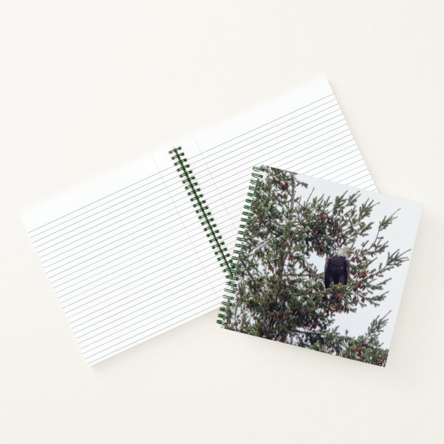 Cuaderno Águila calva P2825 (Interior)