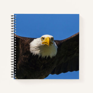Cuaderno Águila calva pasa volando cerca