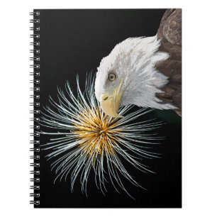 Cuaderno Águila calva y fuegos artificiales