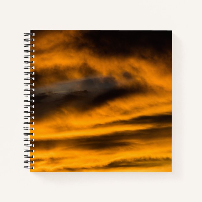 Cuaderno águila cansada (Anverso)