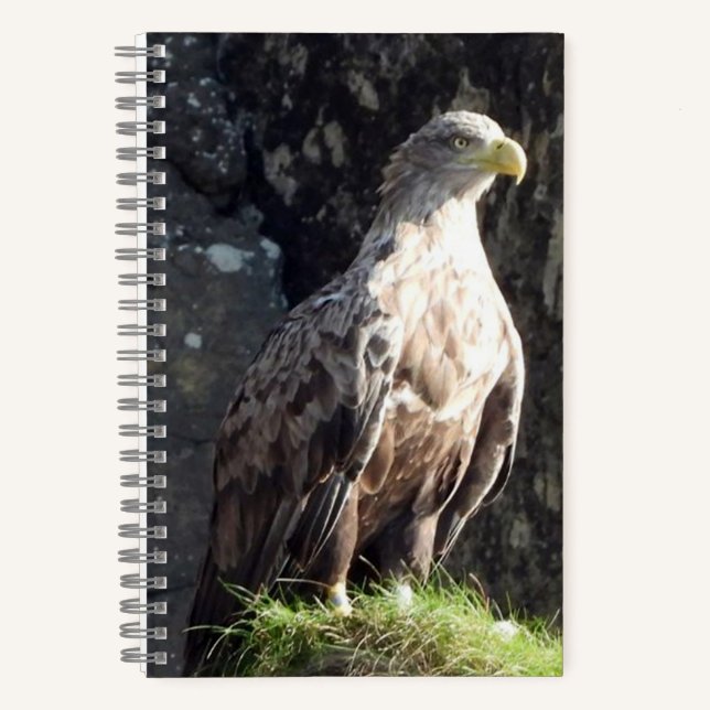 Cuaderno Águila de cola blanca Roca costera Vida silvestre (Anverso)