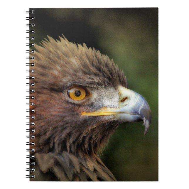 Cuaderno águila dorada (Frente)