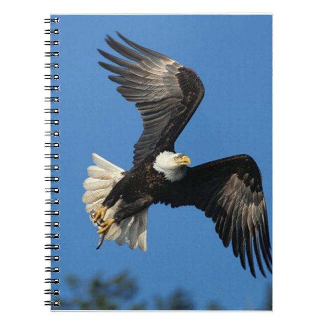 Cuaderno Aguila en aumento (Frente)