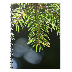Cuaderno Agujas de pino con bokeh
