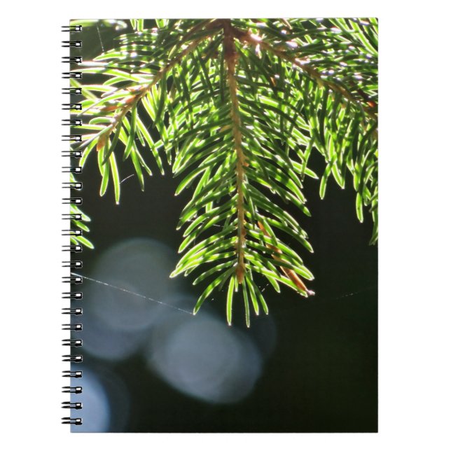Cuaderno Agujas de pino con bokeh (Frente)