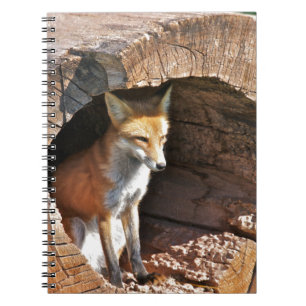 Cuaderno Agujero del Cubby