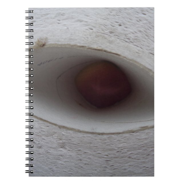 Cuaderno agujero en forma de ojo, hecho de papel (Frente)