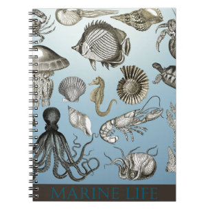 Cuaderno ¡Ahorre la vida marina!