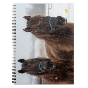 Cuaderno AHT Horse Rescue