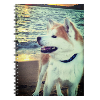 Cuaderno Akita
