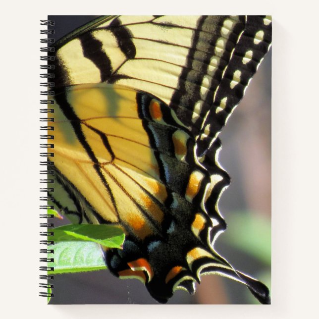 Cuaderno Ala de mariposa de cola de torneado de tigre - 8,5 (Anverso)