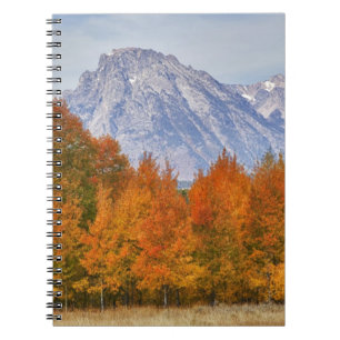 Cuaderno Álamos con la cordillera Teton