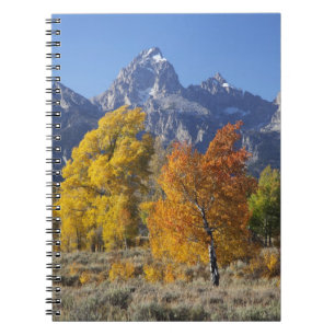 Cuaderno Álamos con la cordillera Teton