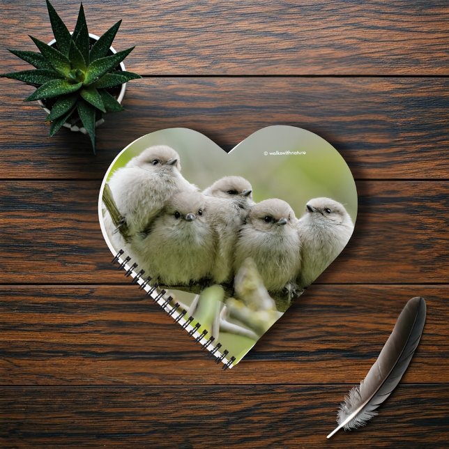 Cuaderno Alarmante foto de la familia Songbirds de los anim (Heartwarming Young Bushtits in the Plum Tree Journal Cover Photo)