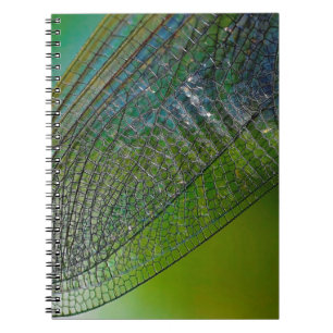 Cuaderno Alas de la libélula naturaleza insecto cercano