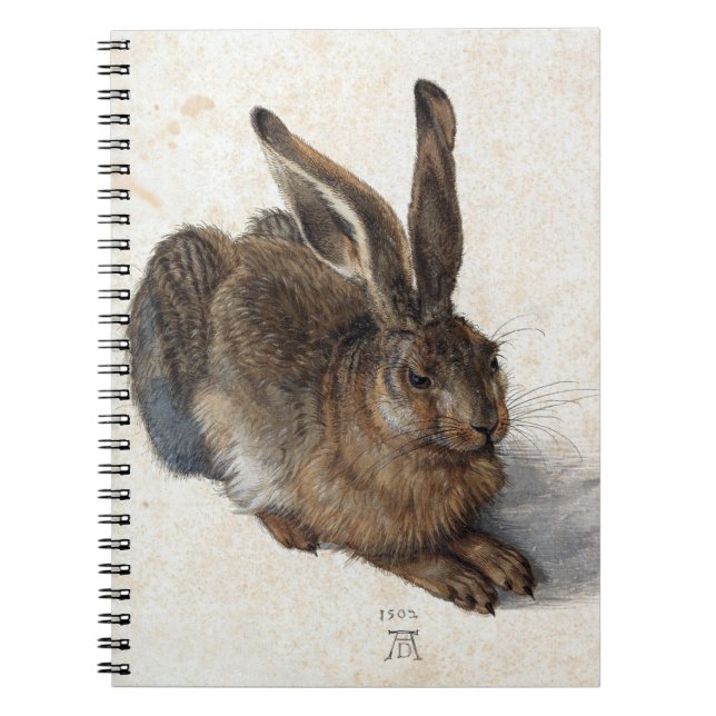 Cuaderno Albrecht Dürer, Young Hare, 1502 (Frente)