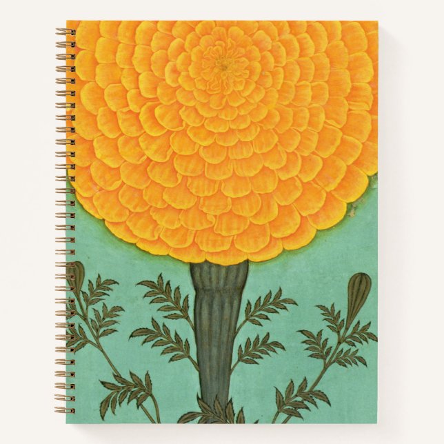 Cuaderno Álbum de Clive Pequeño | A Marigold (Anverso)