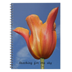 Cuaderno alcanzar el cielo