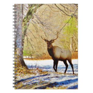Cuaderno > alce de toro frontal en Nieve