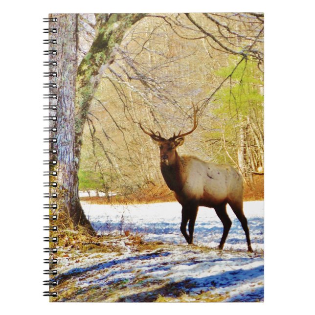 Cuaderno > alce de toro frontal en Nieve (Frente)