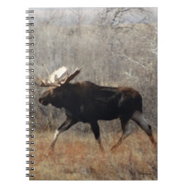 Cuaderno Alce M10 toro