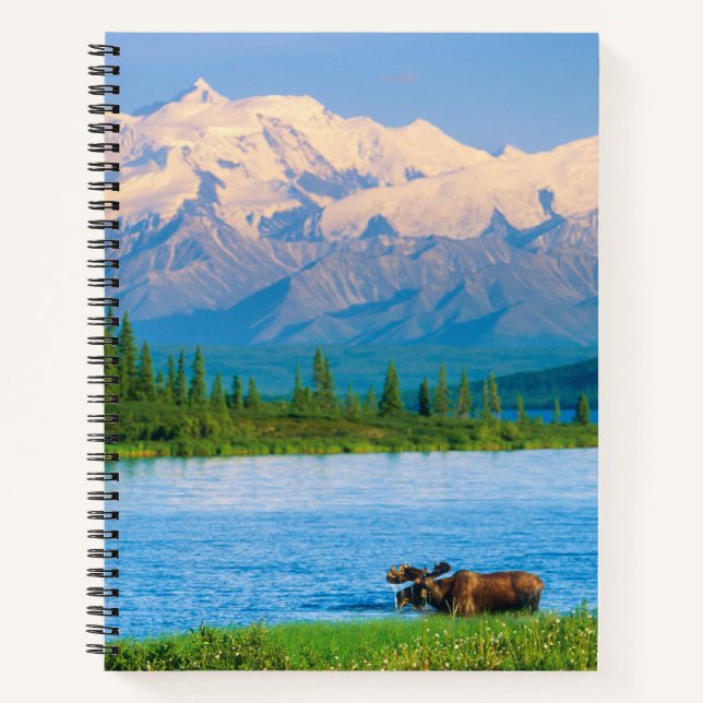 Cuaderno Alce macho en Wonder Lake (Anverso)